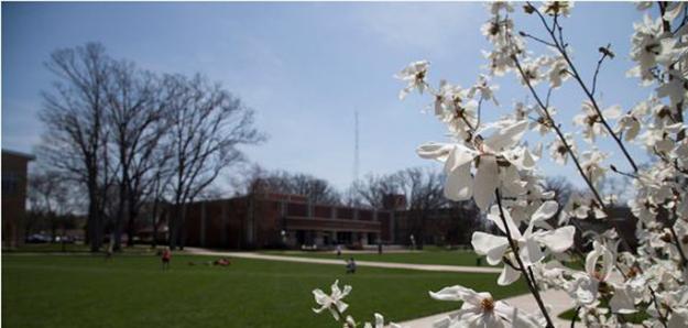 Spring on campus